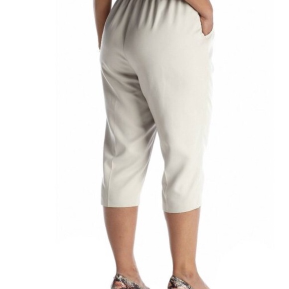 Kim Rogers Pull On Stretch Capri (NWT) - Picture 2 of 6